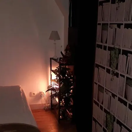Cosy 2*